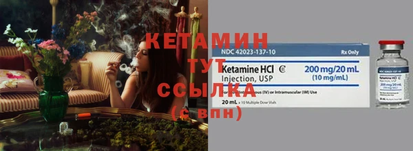шишки Новозыбков