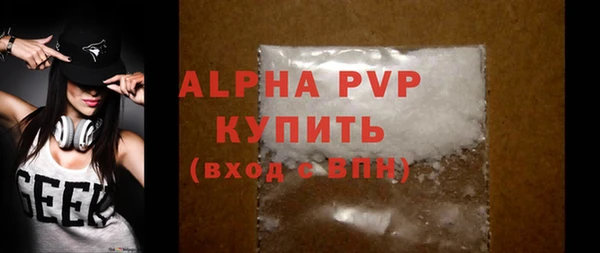 шишки Новозыбков