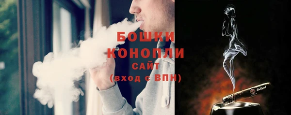 шишки Новозыбков