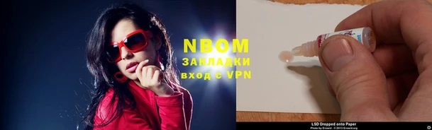 шишки Новозыбков