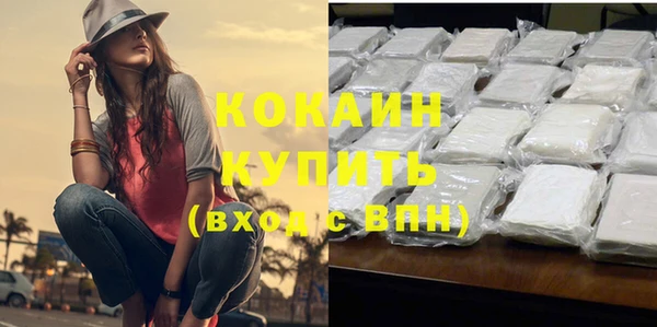 шишки Новозыбков