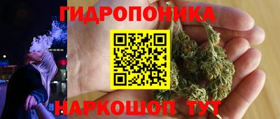 прущие грибы Гусиноозёрск