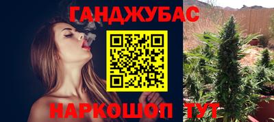 прущие грибы Гусиноозёрск
