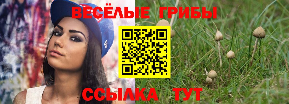 Псилоцибиновые грибы ЛСД  Вход с VPN  Тара 