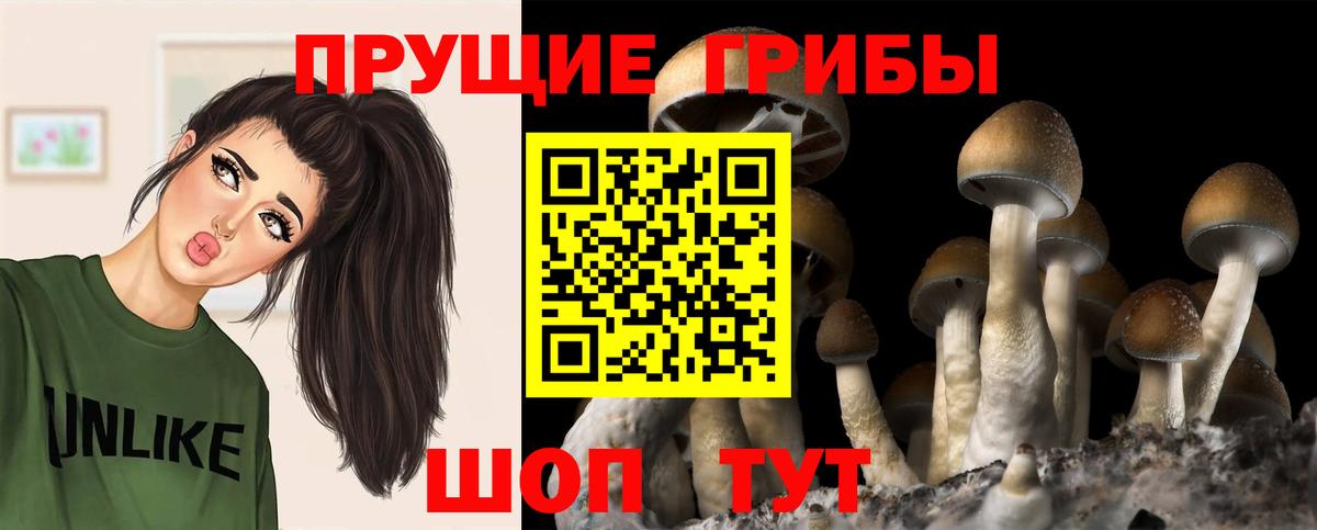 Тара  ГАШ  Кокаин  МЕФ кристаллы  Вход с VPN  Канабис 